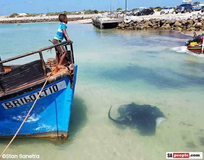 25 The Tides Daire Struisbaai Dış mekan fotoğraf